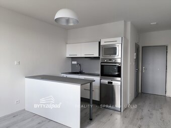 Pronájem, Byty 1+kk, 22m2, Plzeň-Doubravka, ev.č. yIVB8494 - 4