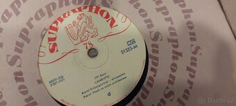 STARÉ GRAMOFONOVĚ DESKY - 4