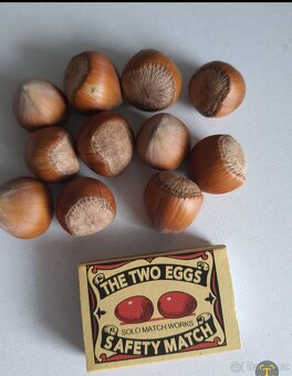 PRODEJ LÍSKOVÝCH OŘÍŠKŮ - 4