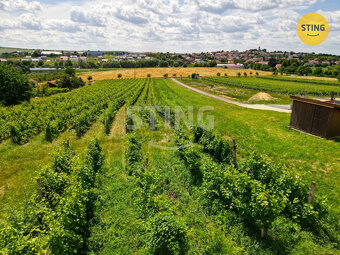 Pozemek pro vinný sklep s ubytováním a  s vinicí,  B, 132041 - 4