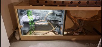 Terarium 250cmx101cmx61cm - 4