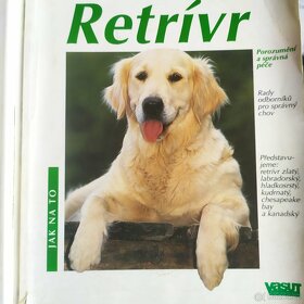 Co má pes na jazyku, Retrívr, Já pes - 4