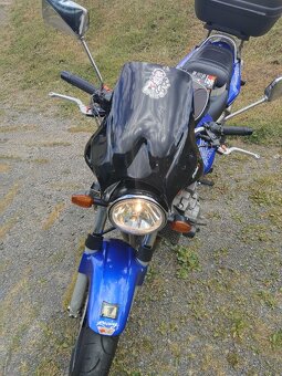 Honda Hornet 900 - 4