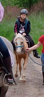 Pony kobylka - 4