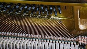 Pianino August Förster (Jiříkov, cca 1957) - 4