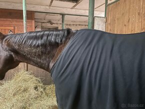 Odpocovací deka Equiline nová - 4