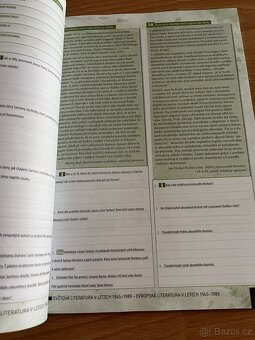 Literatura při 4. ročník středních škol - 4