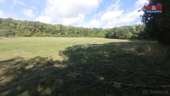Prodej louky, 16692 m², Jenčice - 4