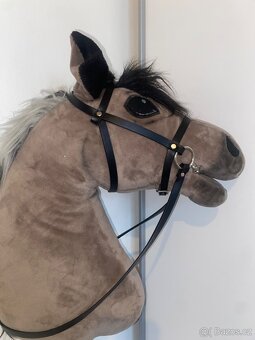 Hobby horse - 4