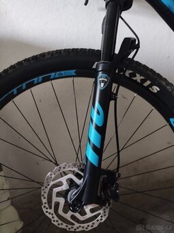 29" SILVERBACK 2020 Sola 3 - 18"/M - 4
