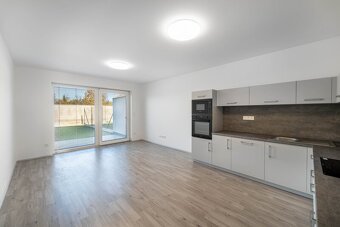 Pronájem bytu 4+kk, 80 m2 (250 m2), České Budějovice - Mladé - 4