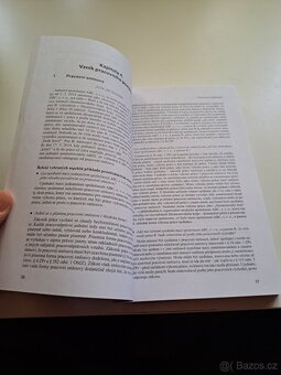Případové studie pracovněprávní - Pichrt , Drápal - 4