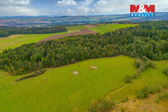 Prodej louky, 5843 m², Spálené Poříčí - 4