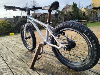 Early Rider Seeker 16 - 4