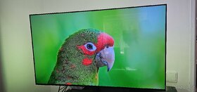 OLED Philips Ambilight 42 - 4