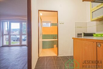 Prodej bytové jednotky 1+1 ve městě Jeseník - 4