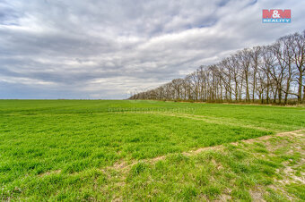 Prodej pole, 39881 m², Hostouň - 4