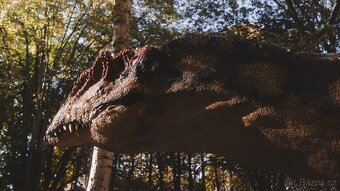 Fujifilm X-T20 + ttArtisan 25mm f2.0, 17mm f1.4, 55nn f1.4 - 4