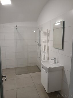 Pronajmu rodinný dům po rekonstrukci - 4