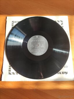 Šimek Grossmann vinyl LP NÁVŠTĚVNÍ DEN 1 - 4