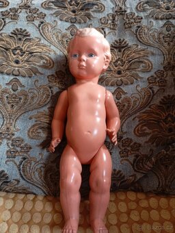 Stará panenka Želva - 4