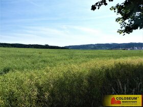Letovice - zemědělská půda  7 225 m2 - pozemek - 4