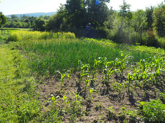 Velká nad Veličkou: stavební pozemek + pole - 4