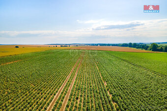 Prodej podílu 1/8 louky, 31349 m², Kotovice - 4