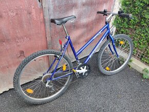 Dívčí horské kolo - 4