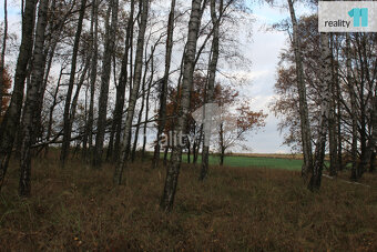 Prodej id 49/100 pozemku 11599m2 Stráž pod Ralskem - 4