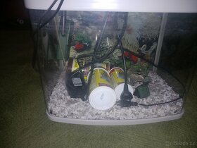 Akvárium pro rybičky - 4
