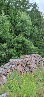 palivové dřevo, SM suchá kůrovcová kulatina - 4