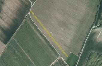 Zemědělská půda, prodej, Lovčice, Hodonín - 4