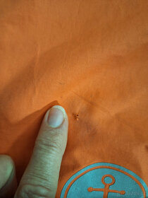 Nepromokavé kalhoty zn. Tchibo, vel. 110/116 - 4