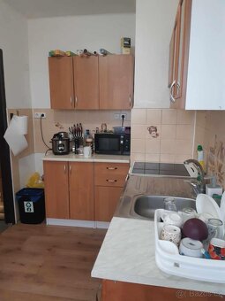 Pronájem bytu Potštejn Brná - 4