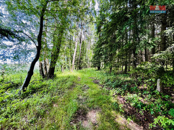 Prodej lesa, 1312 m², Libchavy - 4
