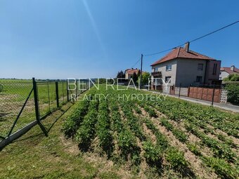 Pronájem zahrady pro rekreaci Pohořelice 1400 m2 s ovocnými  - 4