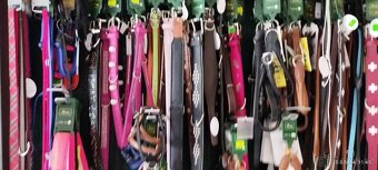 Prodám větší množství obojku pro psy sleva 50 % - 4