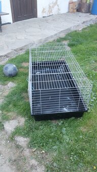 Klece na králíka, ptactvo, slunečník - 4