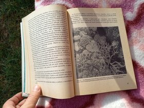 Záhada Bermudského trojúhelníku fantazie a skutečnost-Zdeněk - 4