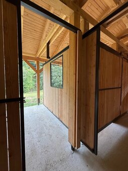 Nabízíme boxové ustájení u Nového Jičína - 4