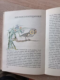 Z oříšku královny Mab - 4