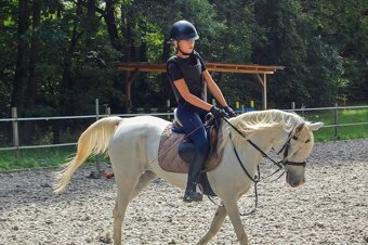 Školní klisna - 4