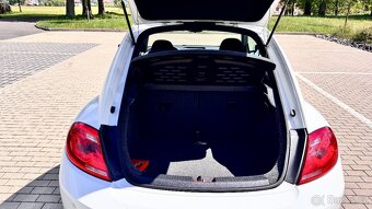 VW Beetle - 4