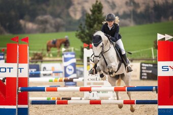 PONY valach - 4