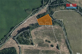 Prodej lesa, 4840 m², Mašťov-Dobřenec - 4