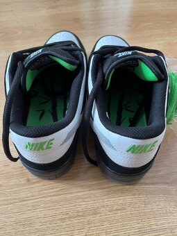 Nike dunk low panda pigeon - 4