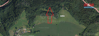 Prodej lesa, 6119 m², Semily - 4