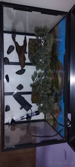 Prodám akvárium - 4
