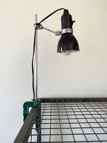 Bakelitová lampa na pracovní stůl ve stylu Bauhaus - 4